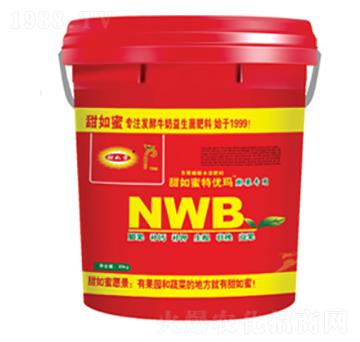 NWB�����(zhu��n)�Û_ʩ��-