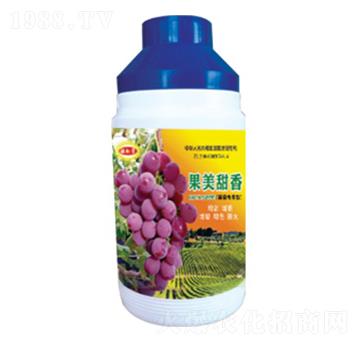 �������㣨���ь�(zhu��n)�ã�-������