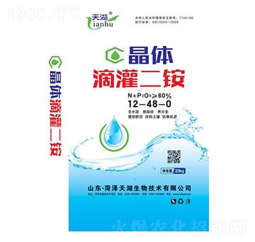 ���w�ι���@12-48-0-���