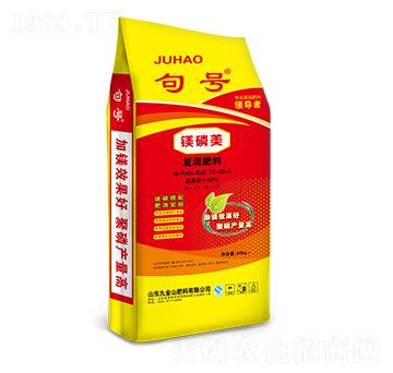 �V������(f��)�����17-20-5-���D