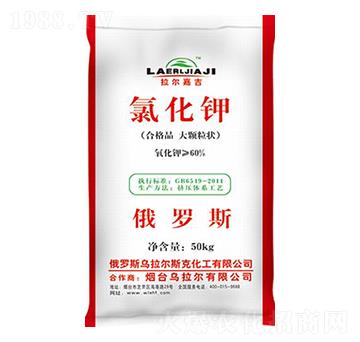 �Ȼ��-������