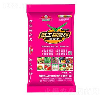 ΢�������-����(d��ng)��-������