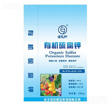 �ЙC���-�G�L95-�G�L�ʘI(y��)