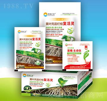 �S�~���砀����(f��)���`-�ĺ��R�r(n��ng)