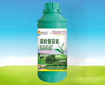 ���~��ѿ��-�ĺ��R�r