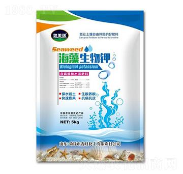 ���������-�W����-��������