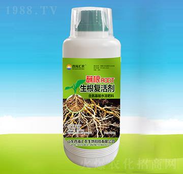 պ���������ͻ-�ĺ��R�r