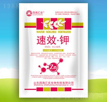 �-�ĺ��R�r(n��ng)