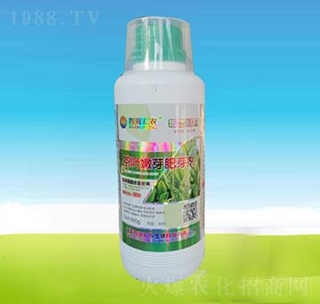 500g���~��ѿ��ѿ��-�ĺ��R�r