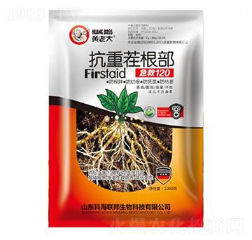 ���ز��������120-�S�ϴ�-�ƺ�(li��n)��