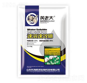 ������-�S�ϴ�-�ƺ���