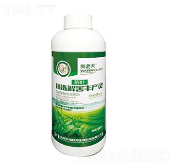 1000g���~�����⺦�S�a�`-�S�ϴ�-�ƺ���