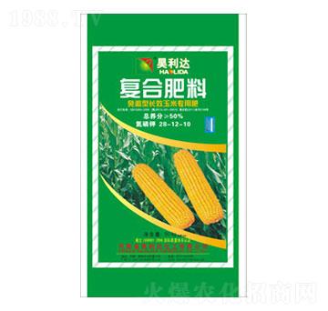 ���׌��Ï�(f��)�Ϸ���28-12-10-�d�l(f��)����_(d��)