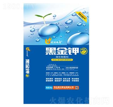 �ڽ��-��ɳ