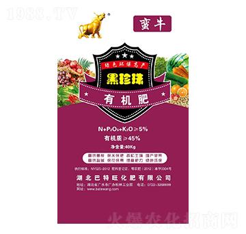 �������ЙC(j��)��-�Uţ-��