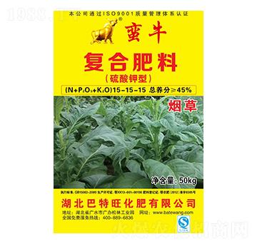 ���݌��Ï�(f��)�Ϸ���15-