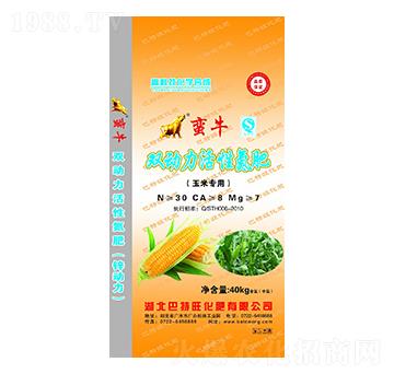 ���׌����p�������Ե���