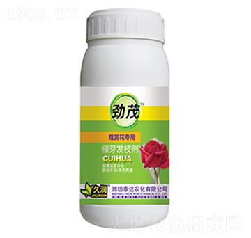 �^�p����(zhu��n)��-��ѿ�l(f��)֦��-̩�_(d��)�r(n��ng)��