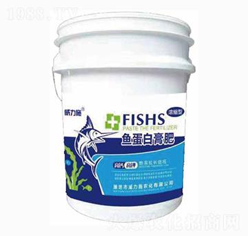 �~(y��)���׸��-����ʩ