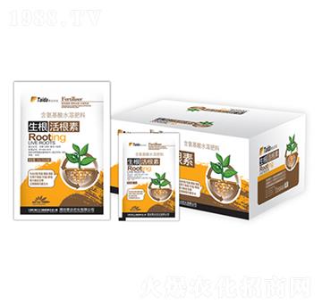 ���������-̩�_(d��)�r(n��ng)��