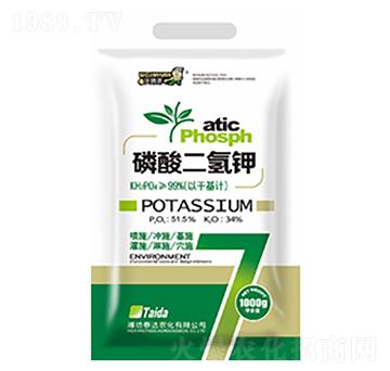 �������⛣�1000g��-̩�_�r(n��ng)��