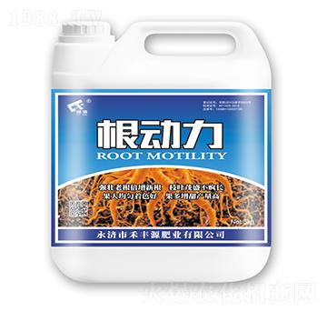 ������-���SԴ�ʘI(y��)