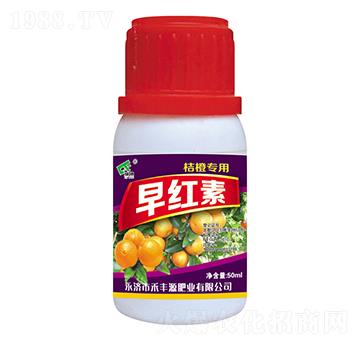 �۳Ȍ�����t��-���SԴ�ʘI(y��)