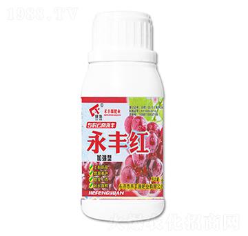 �ӏ������S�t-���SԴ�ʘI(y��)