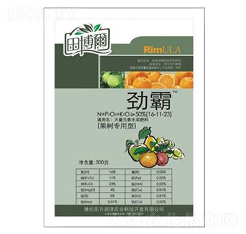 ���䌣����-�Ű�-�|������