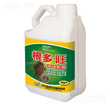 ������-�|����(r��n)��