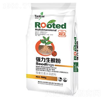 ����������-�|������