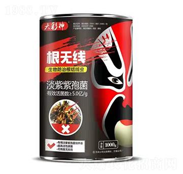 �������߾�-���o(w��)��-�f(w��n)��