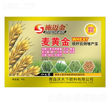 ���S���F�U�������a��-ʩ�~��-������