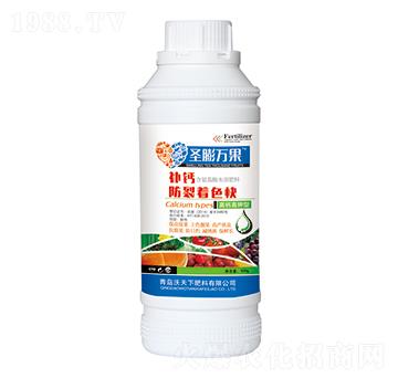 �a(b��)�}������ɫ��-ʥ���f��-������