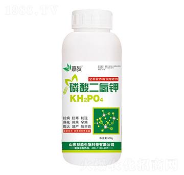 �������⛣�500g��-ؐ������