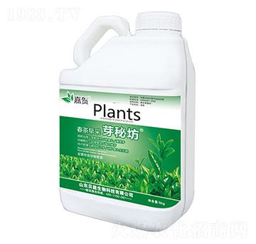 �������ѿ�ط�-ؐ������