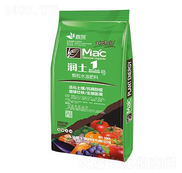 ����1̖-ؐ������