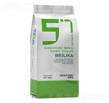 ΢���� �Z˼�_(d��)