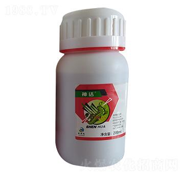 0.5%�װ������S���ر������} ��Ԓ ��̩����