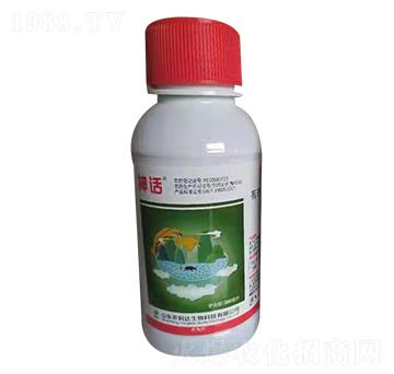 40%������ ��Ԓ ��̩����