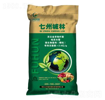 �����͹��ܷ�-���ݳ���