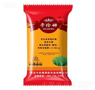 ��ʮ��С���������طN��-����ķ