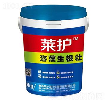 ����������-�R�o(h��)-����