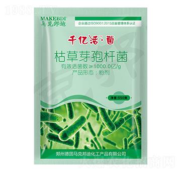 �ݲ�ѿ�ߗU��-ǧ�|���-�R�˰��