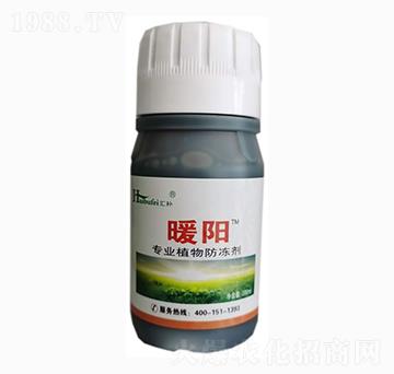 ֲ�������-ů�(y��ng)-����