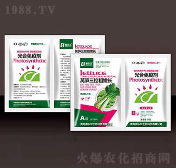 �n�S���ش����L+������߄�-嫘���