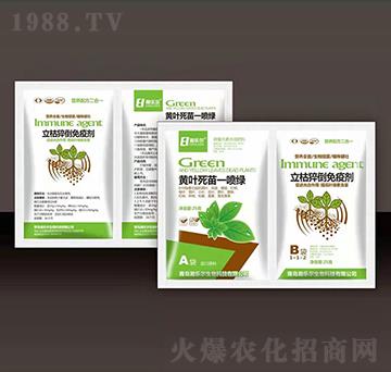 �S�~����һ���G+����⧵����߄�-嫘���