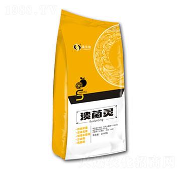 ΢������� �����` ʩؐ��