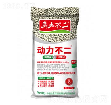 ��(d��ng)������ �������� ��