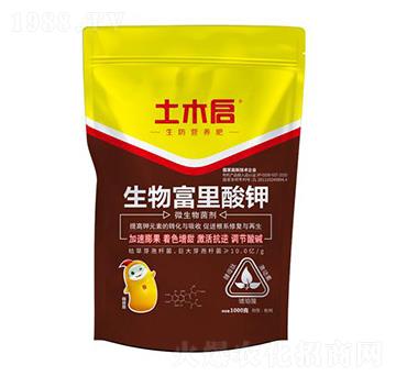 ���︻����� ��ľ������